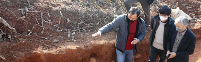 ДНК анализа потврдила: Јапаном су некада владали пећински лавови, а не тигрови