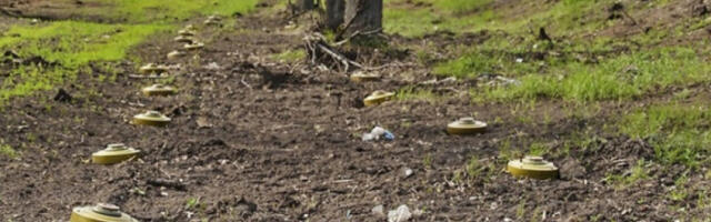 Пољска се данас званично повукла из споразума о забрани противпешадијских мина