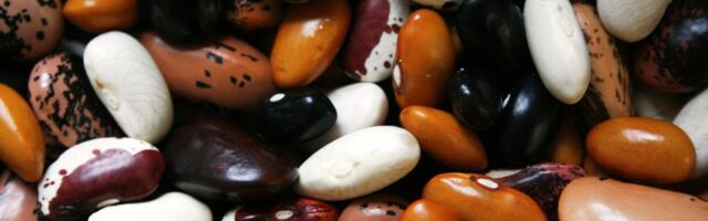 Skoro 90 odsto proteina iz supermarketa sadrži mikroplastiku