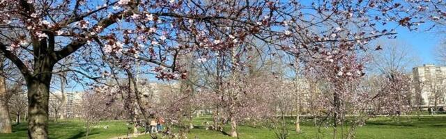 Kakvo će vreme biti za 1. maj u Novom Sadu?