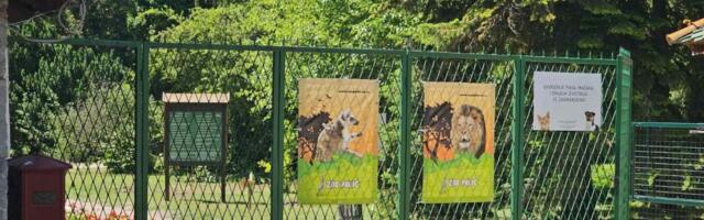 Novi jelovnik životinja u zoo-vrtu Palić: Malo im je, koliko im prija