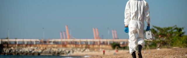 ČUDOVIŠTE IZ MRAČNIH DUBINA More izbacilo stvorenje sa JEZIVOM GLAVOM, dugačko 4,2 metra!