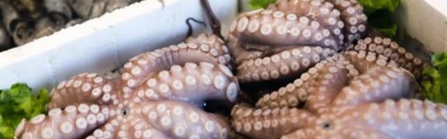 Ubio devojku hobotnicom zbog osiguranja? Ovo je najbizarniji zločin u modernoj pravnoj istoriji, ovako se izvukao!