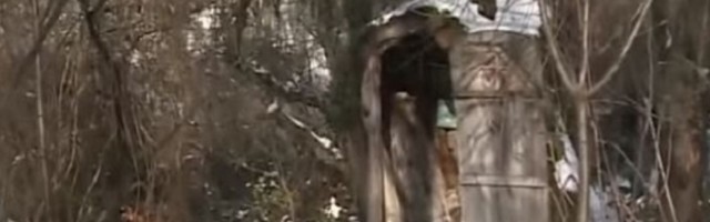 Kada ugledate ovo čudo poželećete odmah da odete, mala crkva na jugu Srbije, smeštena u unutrašnjosti hrasta