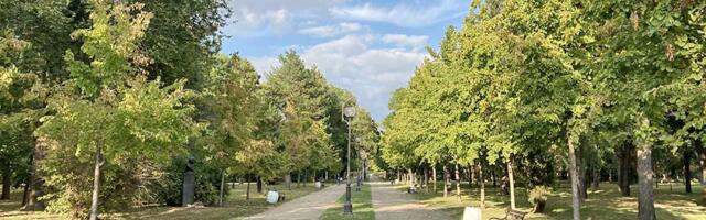Tretmani protiv komaraca: Upozorenje pčelarima u deset vojvođanskih opština