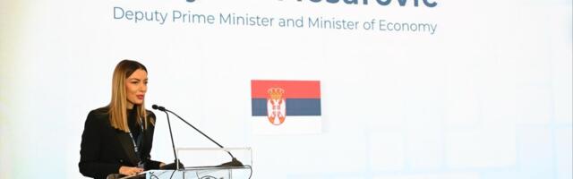 Mesarović: Srbija ima stabilne javne finansije i rekordan priliv investicija