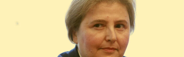 Dolovac i Stamenković upoznali šefa delegacije EU u Srbiji sa pritiscima na pravosuđe