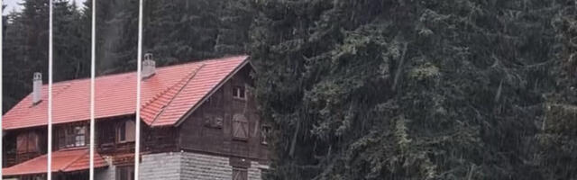 Golijom šeta “nepar”: Prizor iz vica snimljen usred šume, svi se pitaju kako se to desilo