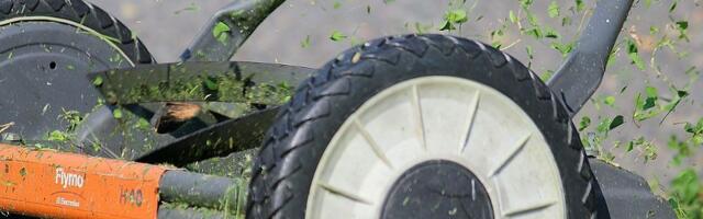 Menja se režim saobraćaja od petlje Kovilj do petlje Beška - kosiće se trava