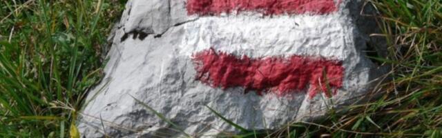 Austrija odobrila izvoz oružja u milijardama evra: Amerika i Izrael glavni kupci