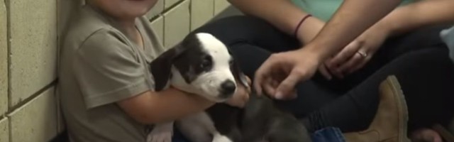 Najbolji drugari: Dečak sa rascepom usne udomio psa sa istim deformitetom (VIDEO)