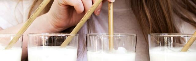 Mlečna dilema: Kravlje, ovseno ili bademovo mleko – koja je idealna kapljica zdravlja i luksuza za vas?