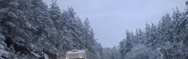 Sneg zavejao ovaj deo Srbije: Meteorolozi najavljuju nove padavine (VIDEO)