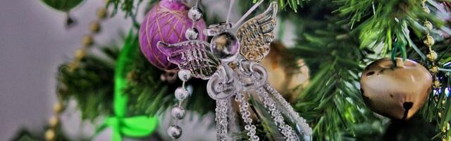 Srećan Božić svima koji danas slave