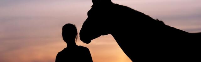 Najstariji živi konj na svetu ušao u Ginisovu knjigu rekorda!