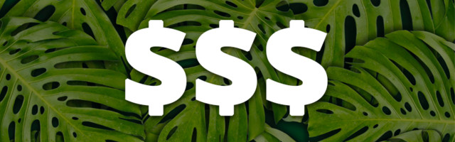 Da li u doba pandemije možemo da razmišljamo o ekologiji – kada se veliki broj firmi bori za opstanak?