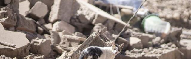 UŽAS U HAVANI! Srušila se trospratnica, deo terase ZATRPAO više ljudi - ima MRTVIH!