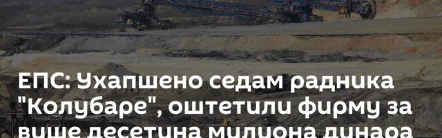 ЕПС: Ухапшено седам радника "Колубаре", оштетили фирму за више десетина милиона динара