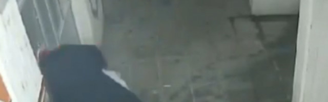 ĆOVEK DEMOLIRAO CELU ZGRADU NA NOVOM BEOGRADU I TO GLAVOM KOJA JE OSTALA ČITAVA! Stanari mole za pomoć! (VIDEO)