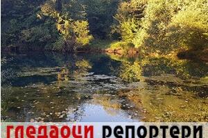 Гледаоци репортери (20. новембар 2022)