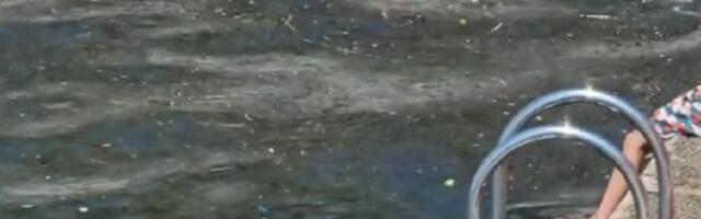 Detalj sa plaže koju Srbi obožavaju šokirao sve (VIDEO)