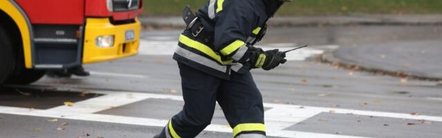 Veliki požar u Beogradu: Vatra guta automobile (FOTO)