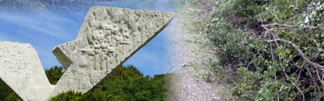 Ovde nikako ne secite badnjak: Kragujevčanima stiglo upozorenje