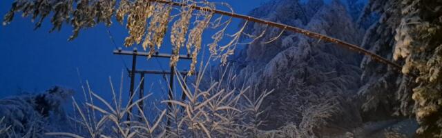 Oglasio se EDS o kvarovima koji su bili posledica snežnog nevremena