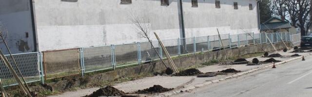 Dvadeset sadnica lipe zasađeno u Ulici Kraljevića Marka