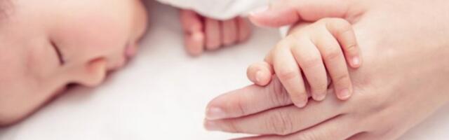 PRELEPE VESTI STIŽU IZ NOVOG SADA! U KC Vojvodina, za dan rođeno 14 devojčica i 13 dečaka