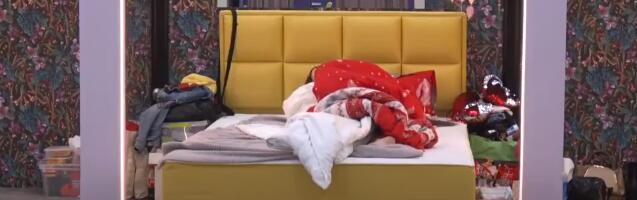 Sa Zole na Daria: Miljana Kulić probudila ukućane AKCIJOM sa novim dečkom - Niko ne veruje šta kamera hvata! (VIDEO)